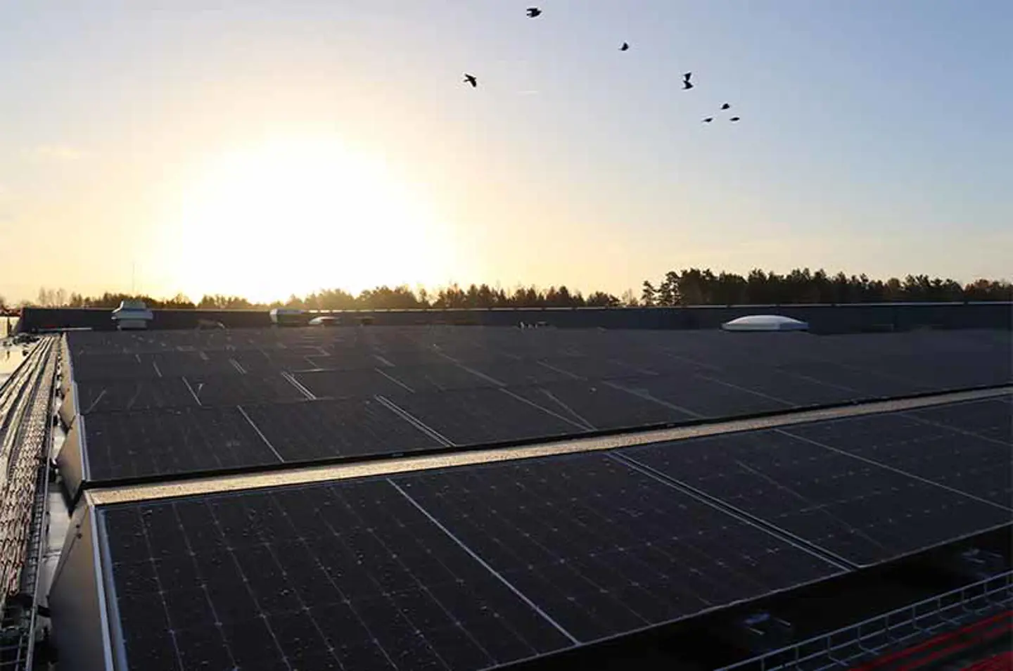 Solar panels on the roof of Axelent headquaters